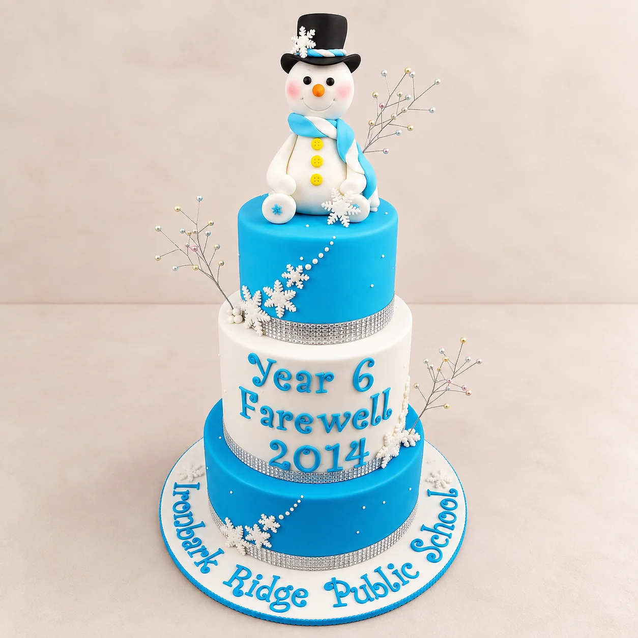 Ironbark Ridge Public School farewell cake